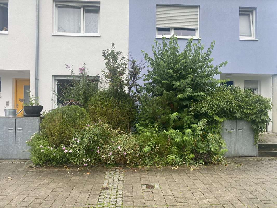 Neuanlage eines Sandbeetes 3